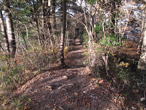 20171116hike (319)